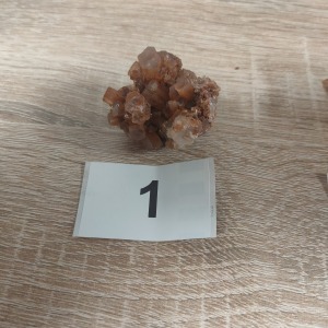 IMG20220319045542.jpg
