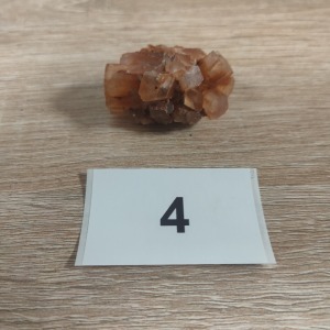 IMG20220319045552.jpg