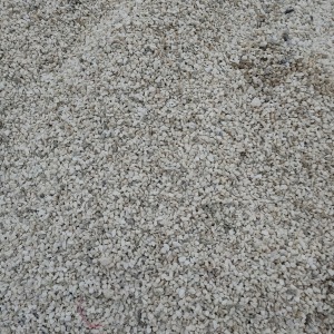 IMG20230306172915.jpg